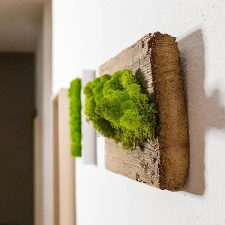 Guest house Maison Boch *