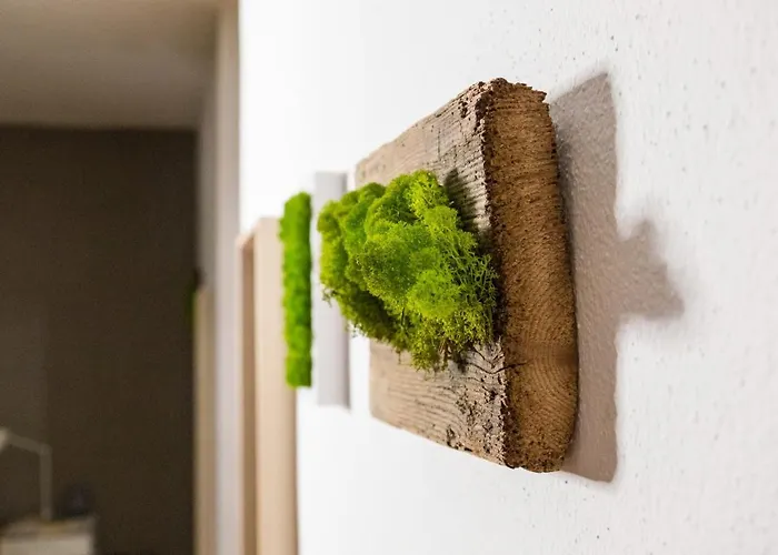 Pensjonat Maison Boch 3*